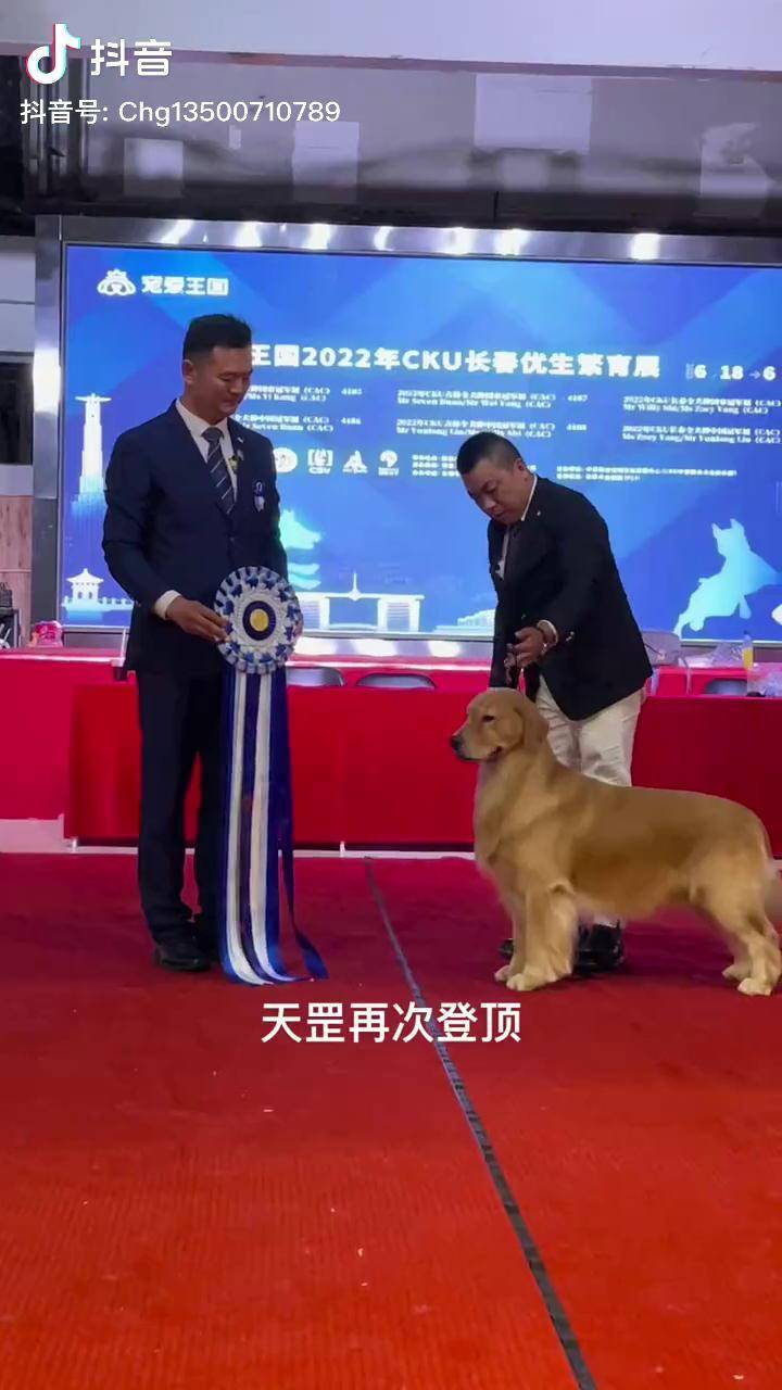 以色列网球队实力强大,再次登顶领奖台 以色列网球队实力强大,再次登顶领奖台